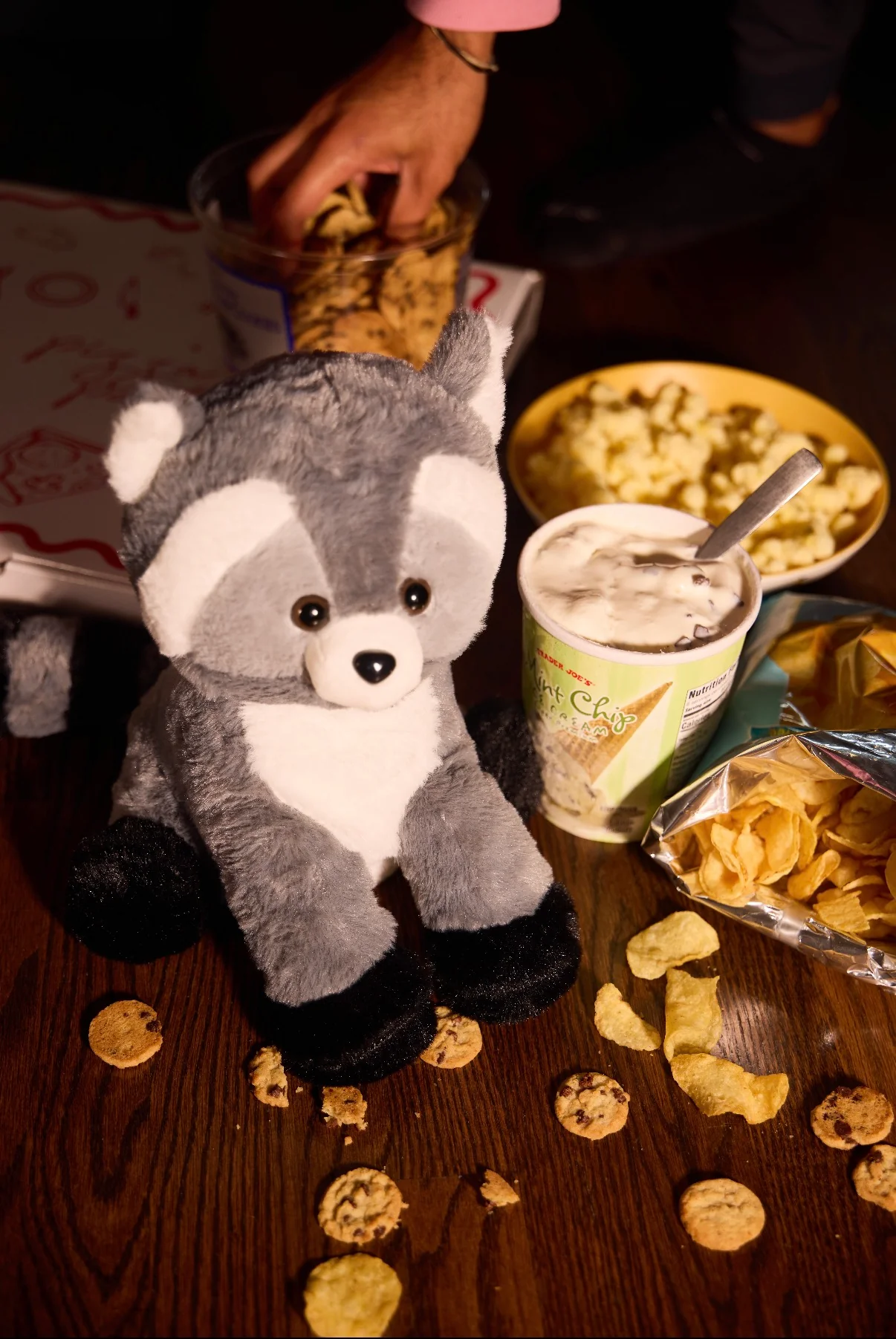 Bandit the Raccoon - Image 3