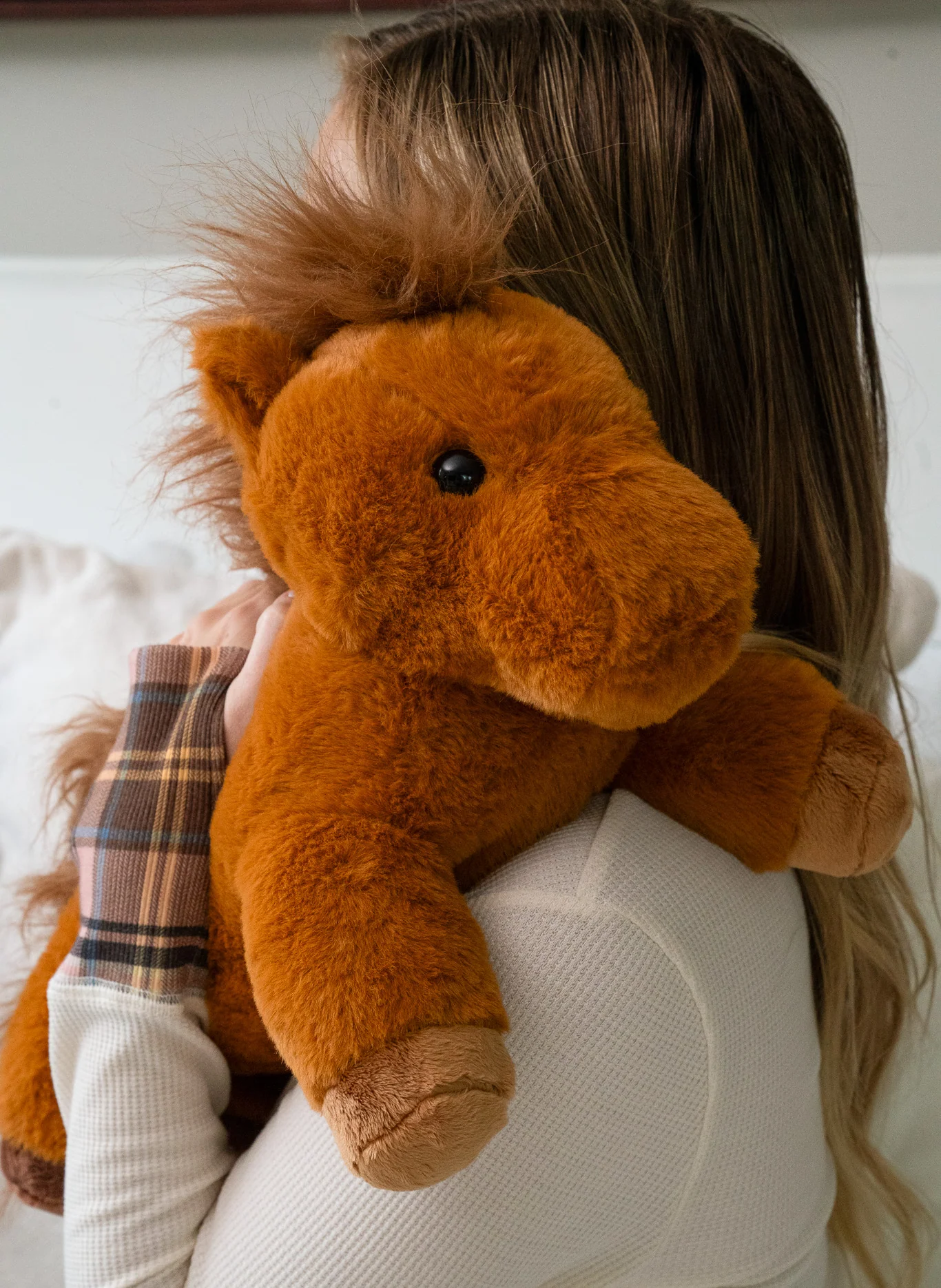 Chestnut the Horse - Image 3