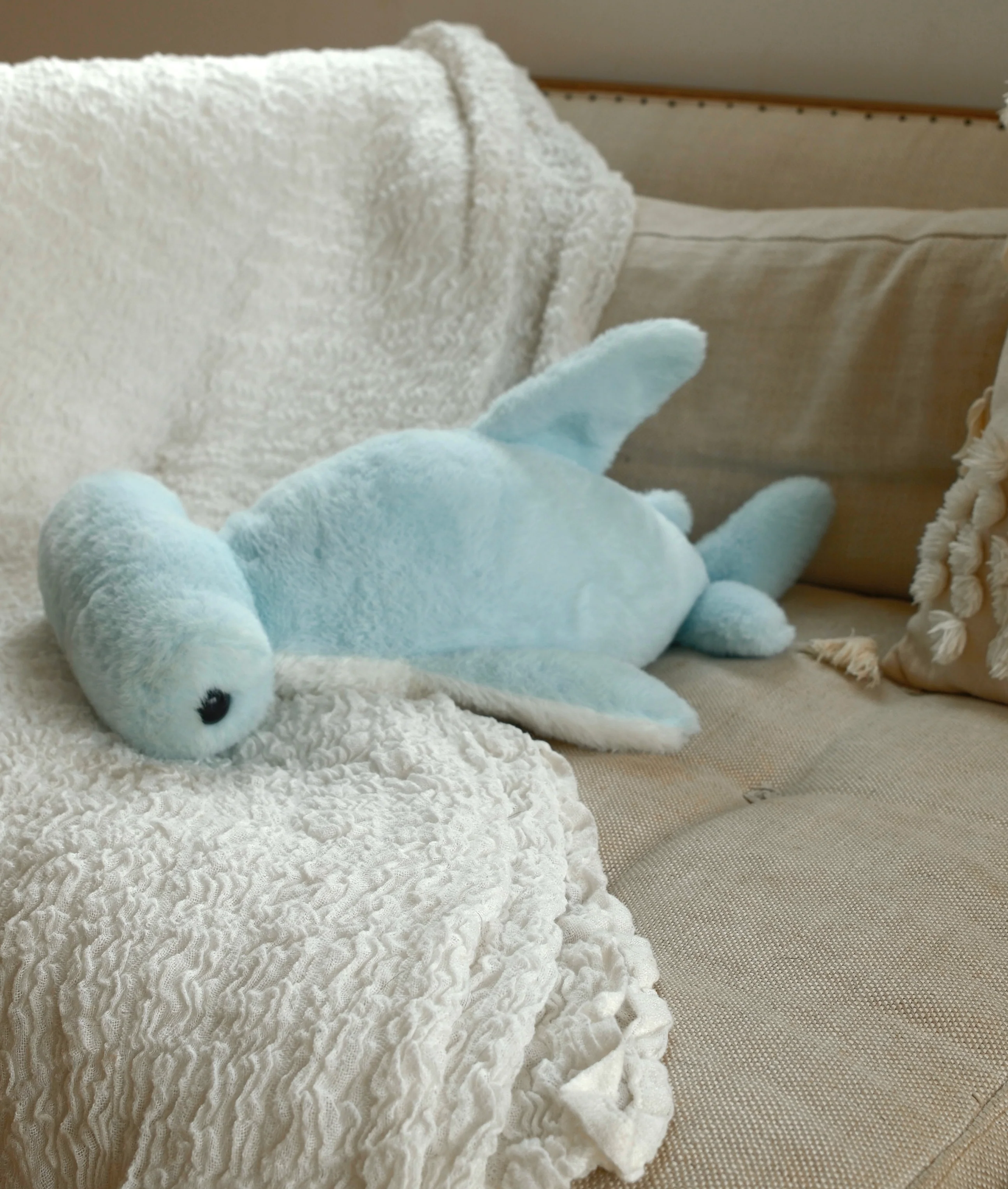 Chomp the Shark - Image 4