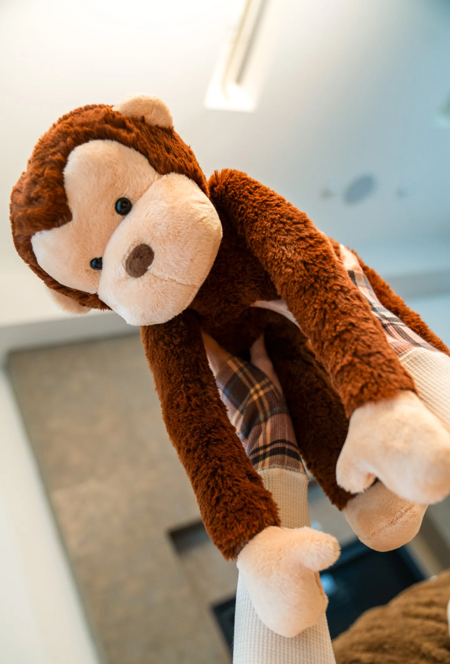 Coco the Monkey - Image 3