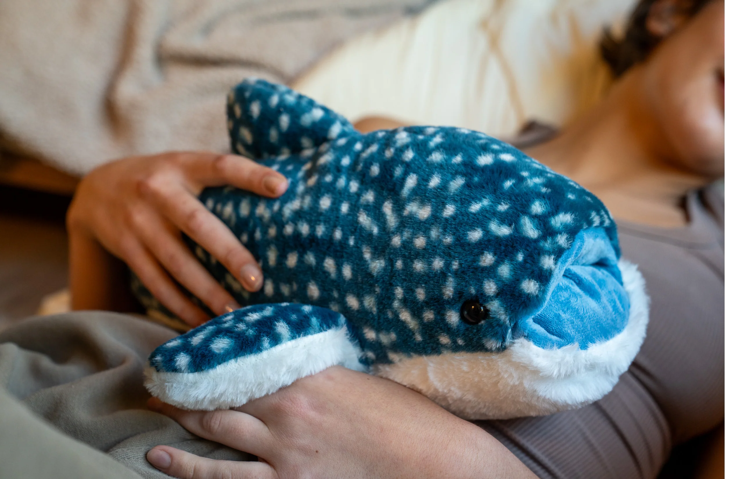 Cove the Whale Shark - Image 4