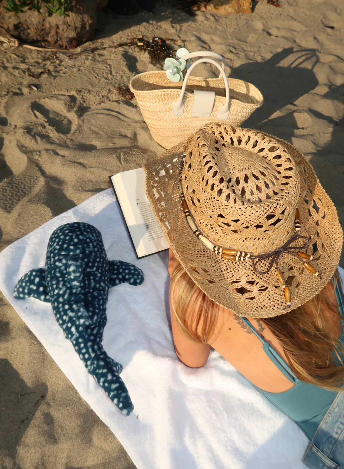 Cove the Whale Shark - Image 7