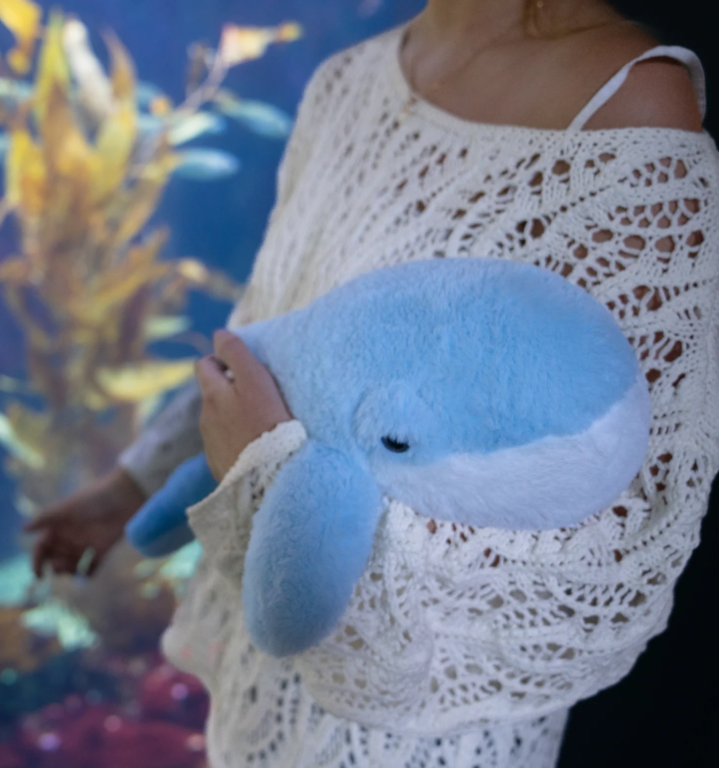 Finn the Whale - Image 6