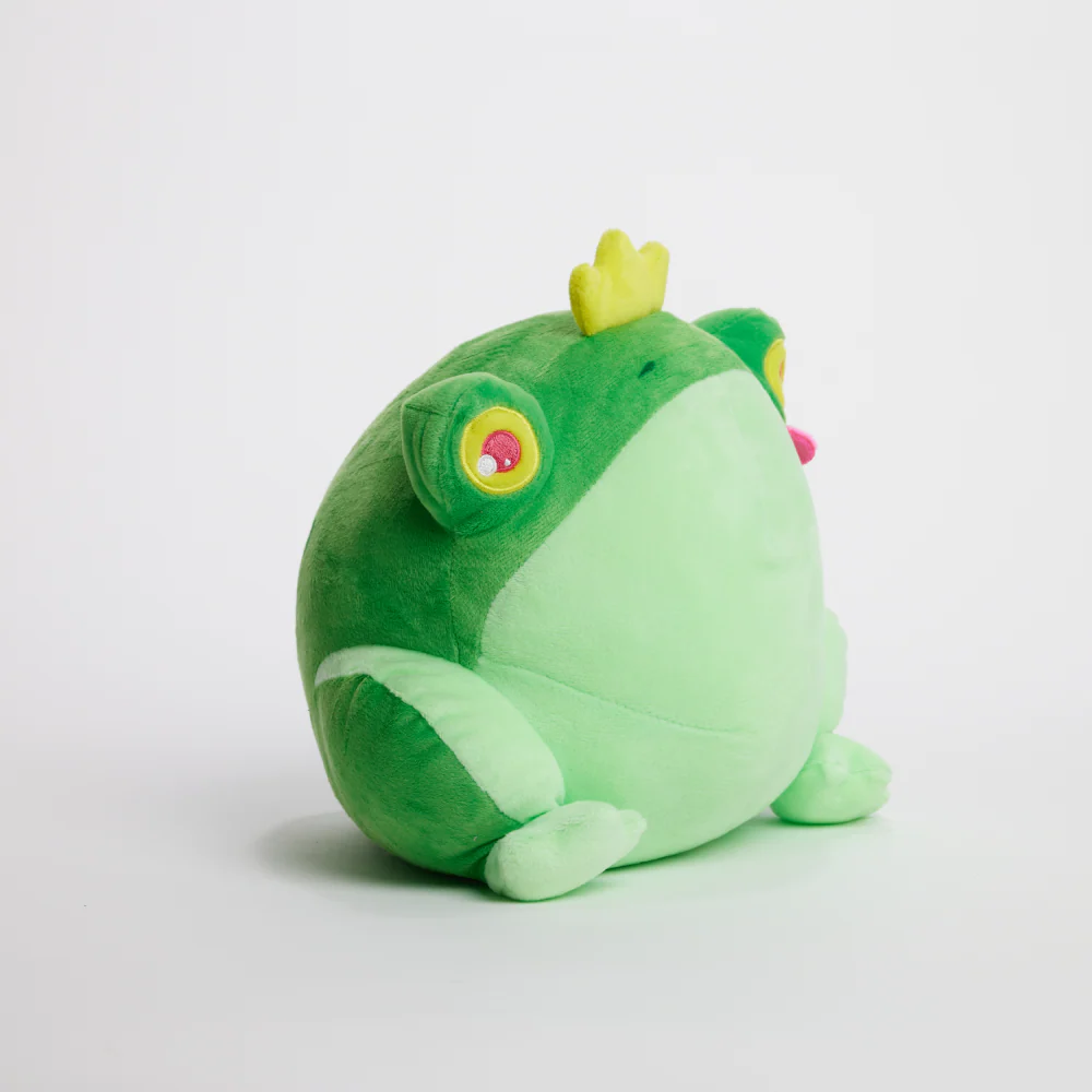 FunkyFrog the Frog - Image 10
