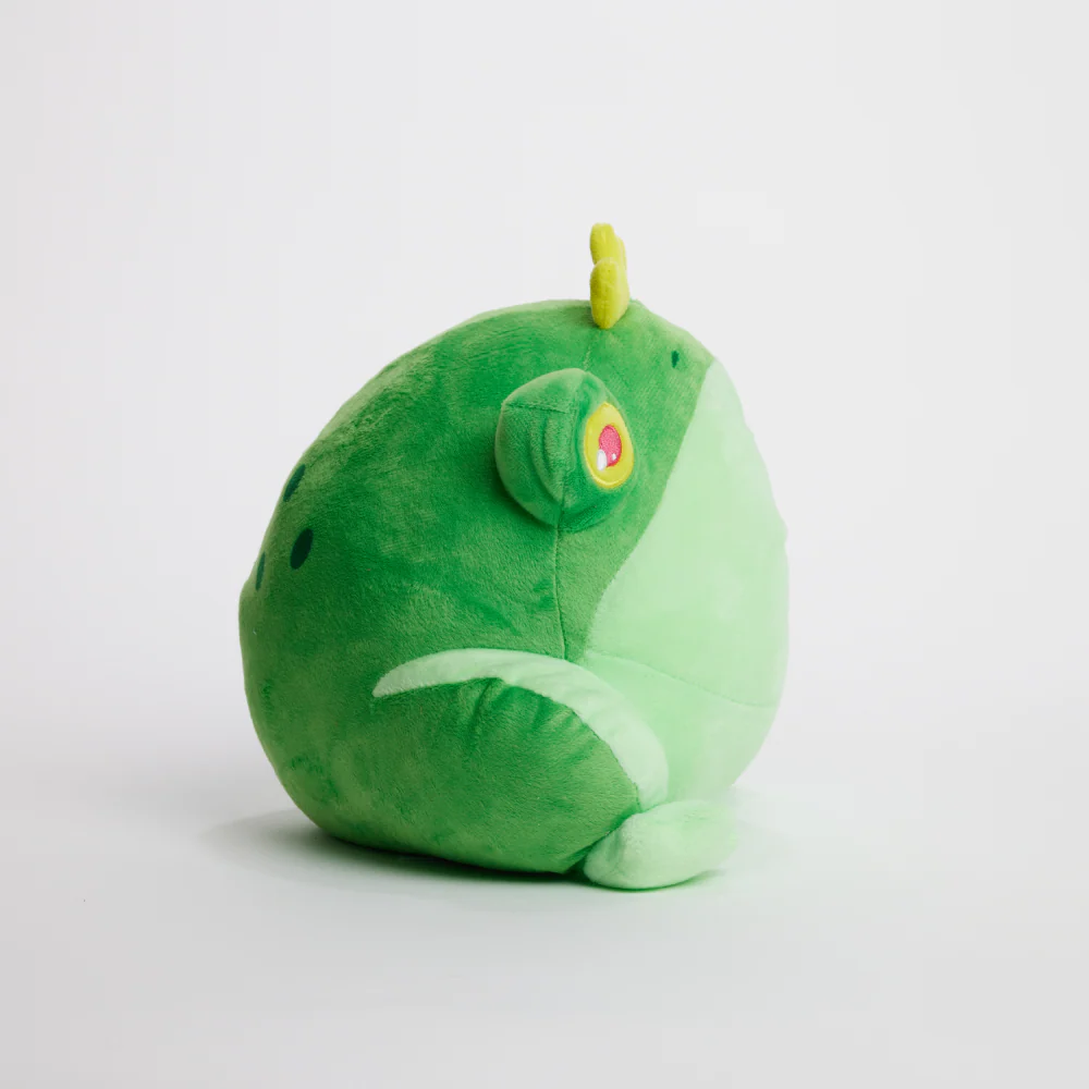 FunkyFrog the Frog - Image 11