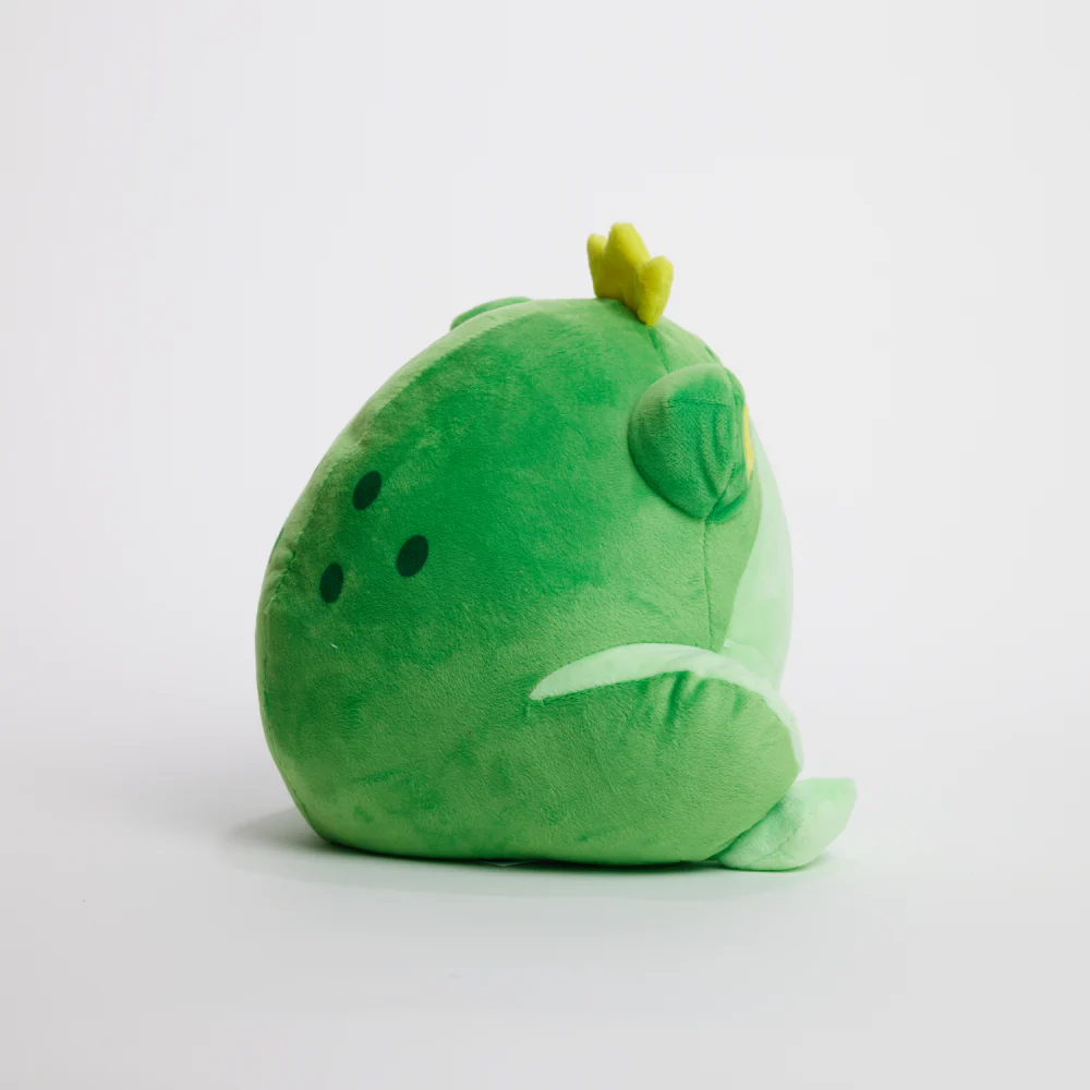 FunkyFrog the Frog - Image 12