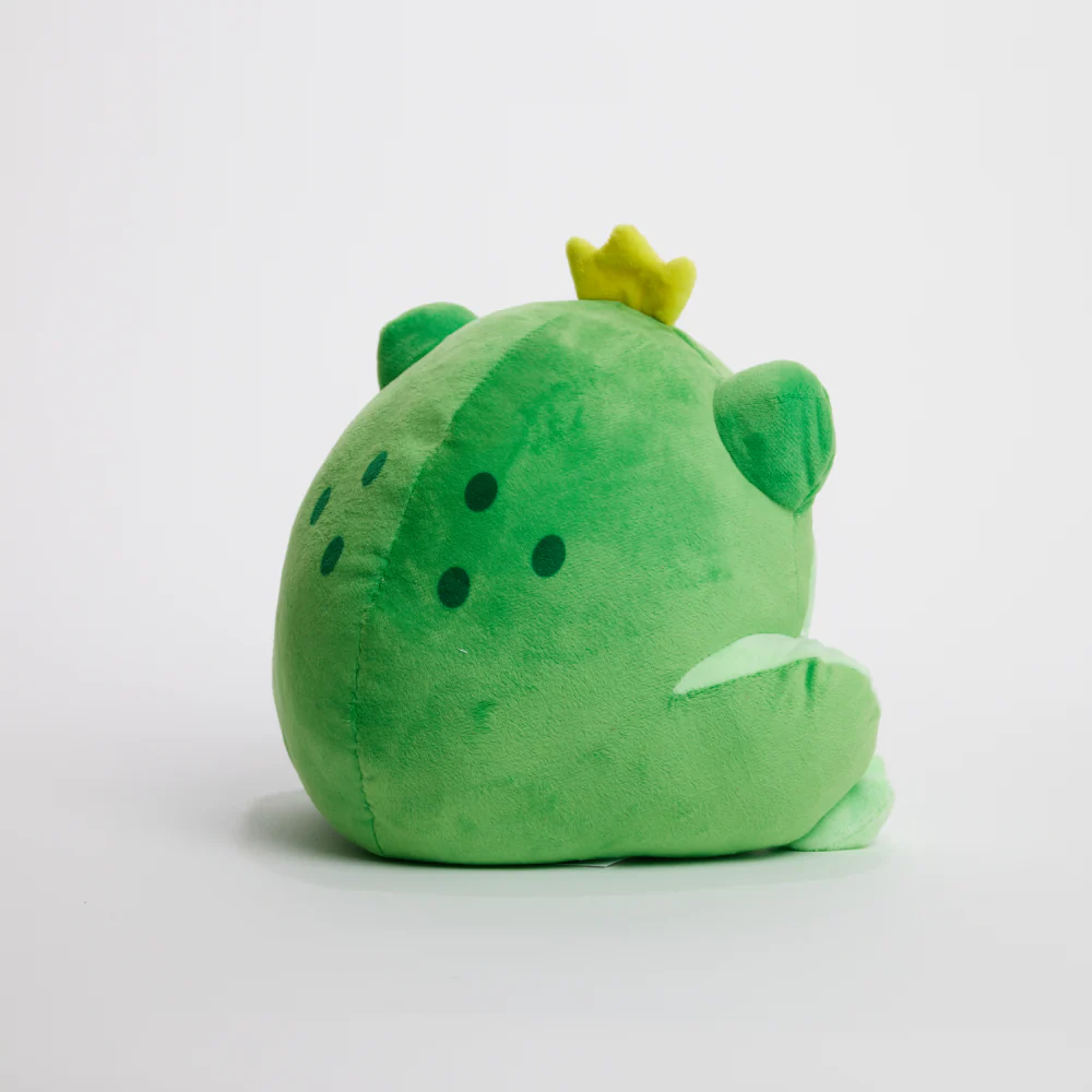 FunkyFrog the Frog - Image 13