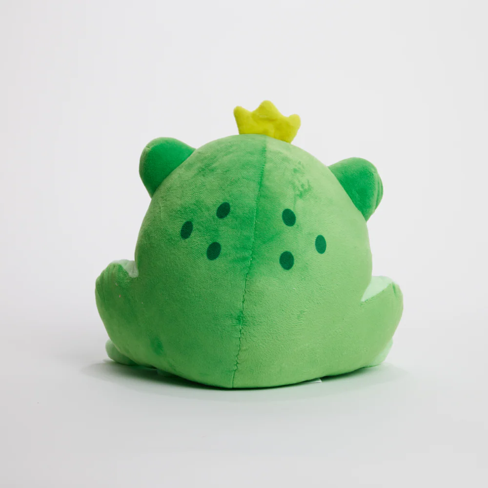 FunkyFrog the Frog - Image 14