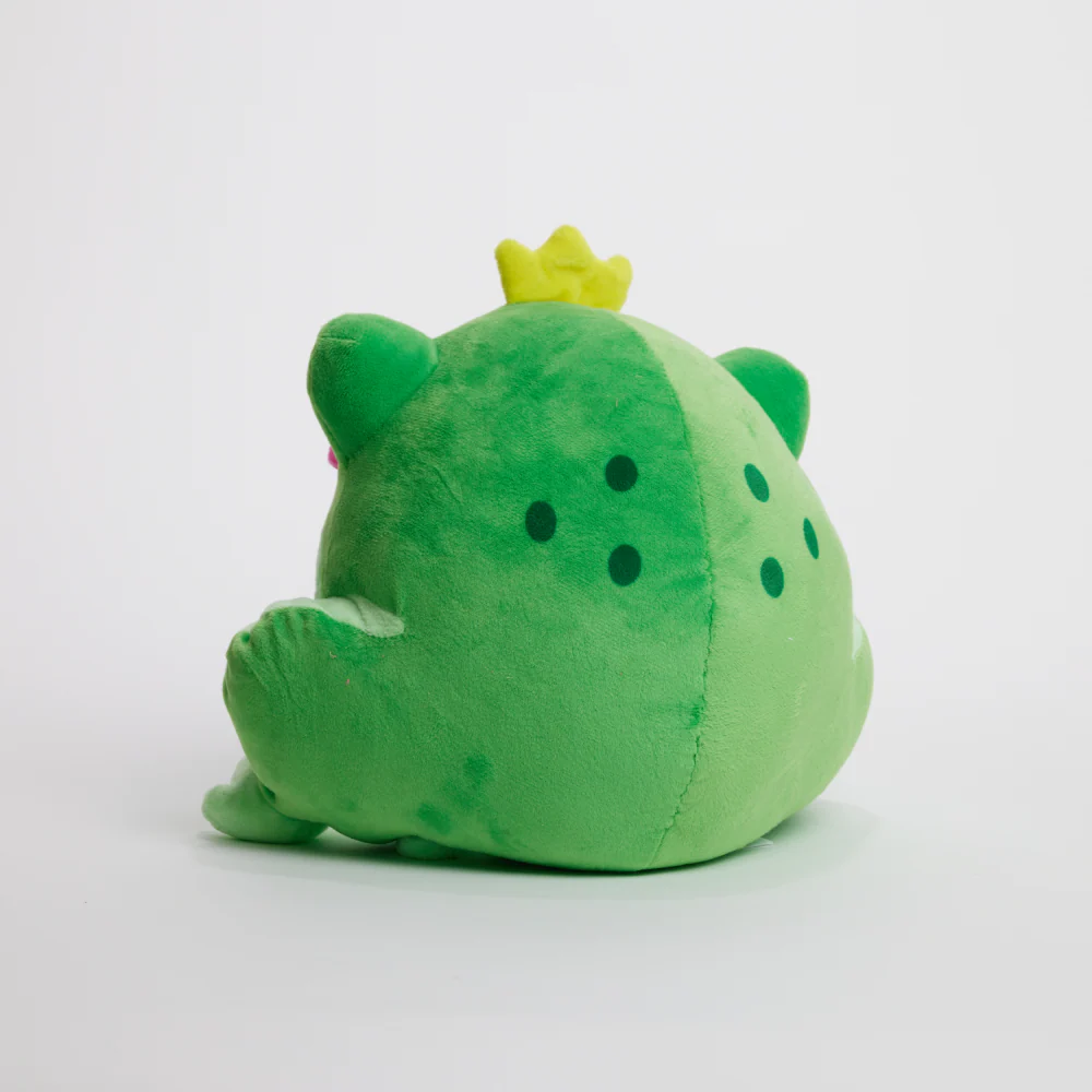 FunkyFrog the Frog - Image 15