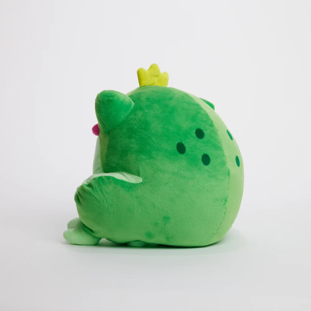 FunkyFrog the Frog - Image 16