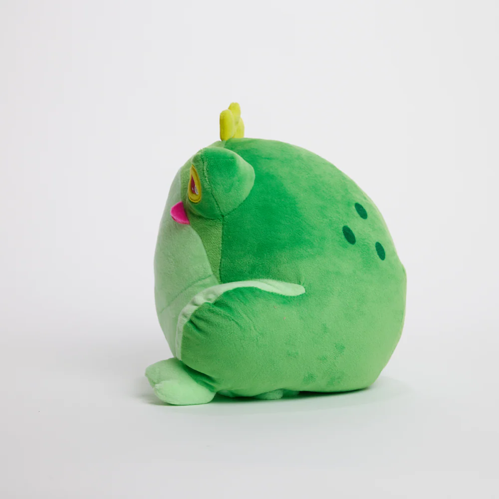 FunkyFrog the Frog - Image 17