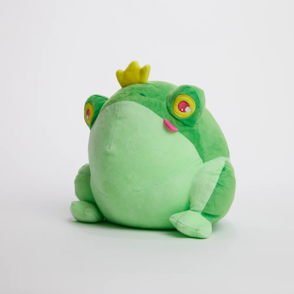 FunkyFrog the Frog - Image 19