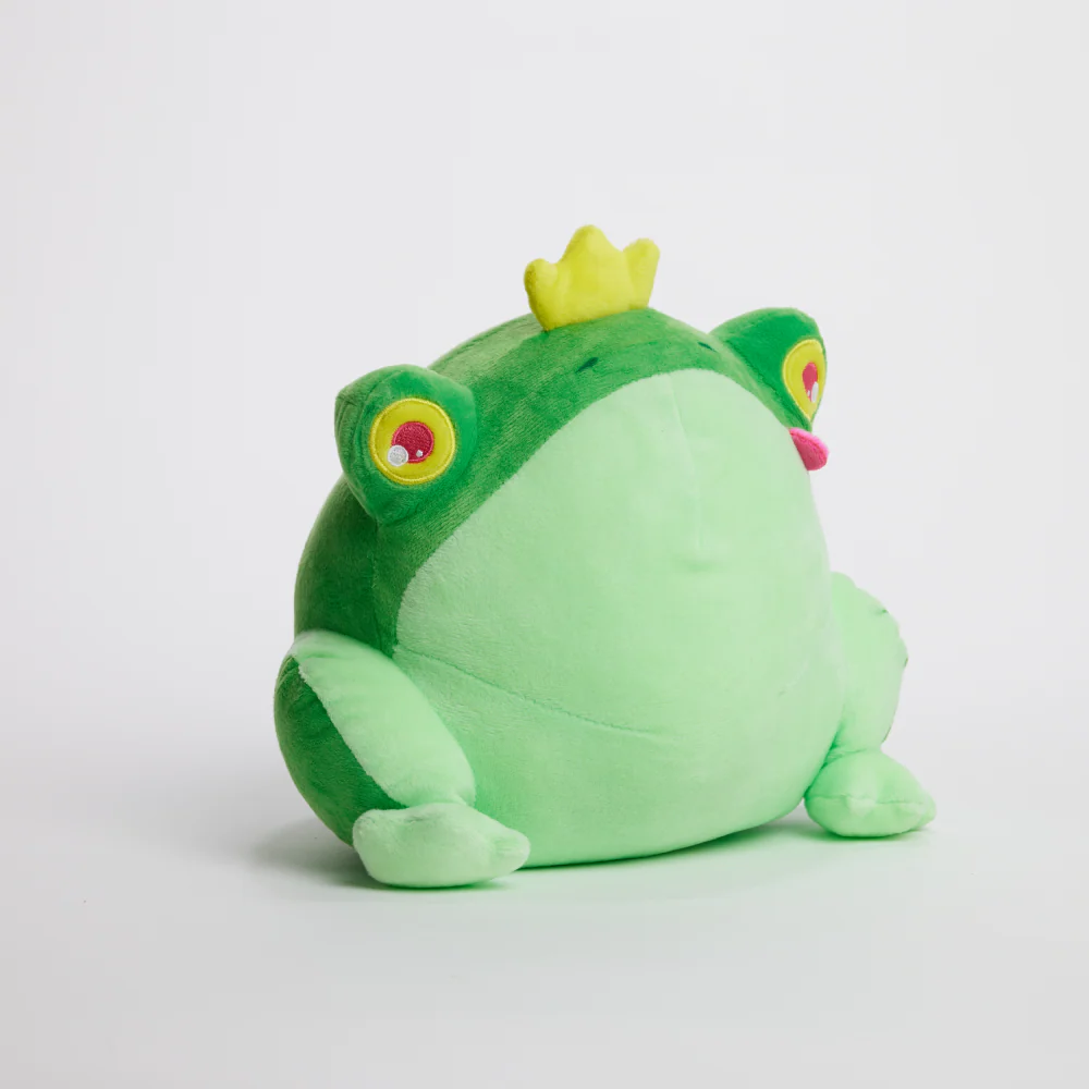 FunkyFrog the Frog - Image 9