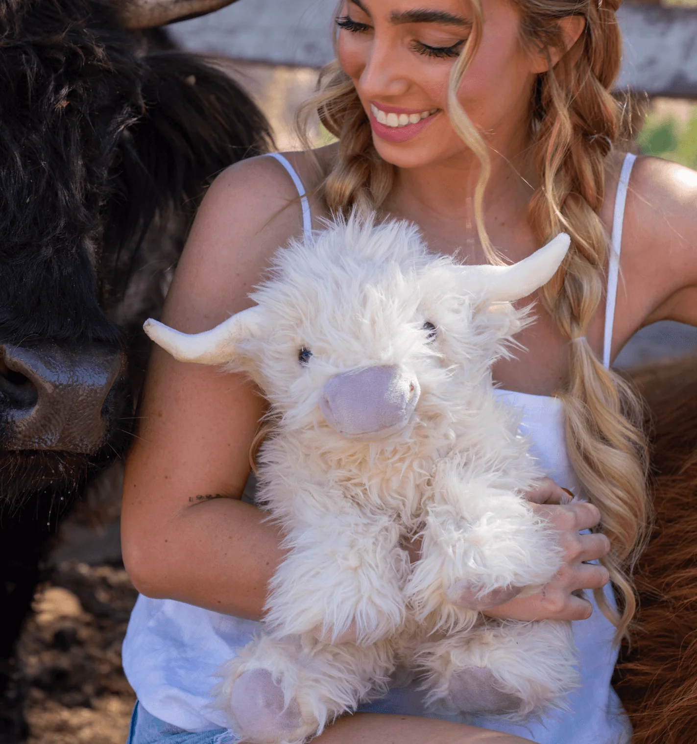 Scottie the Highland Cow - Image 6