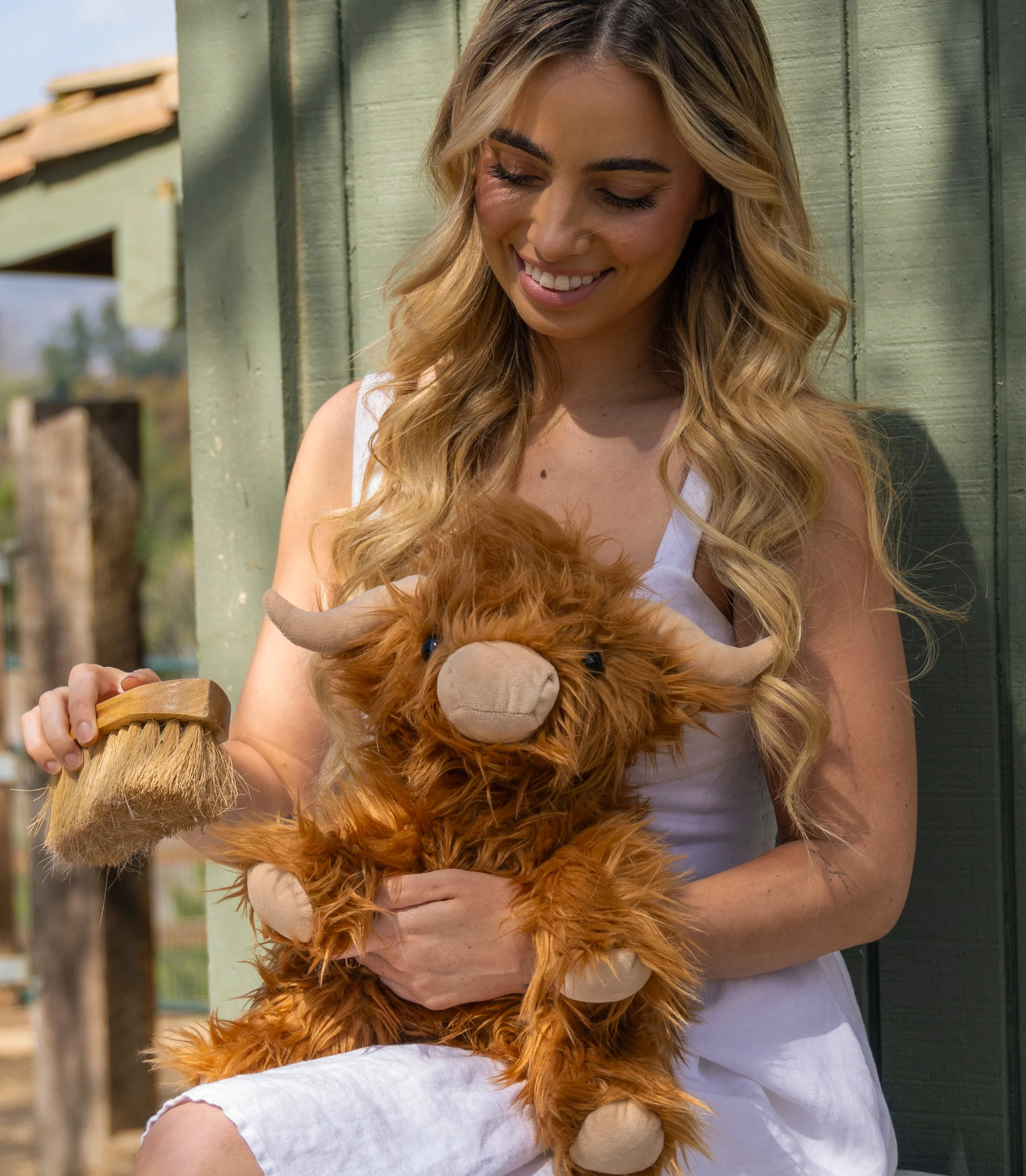 Toffee the Highland Cow - Image 3