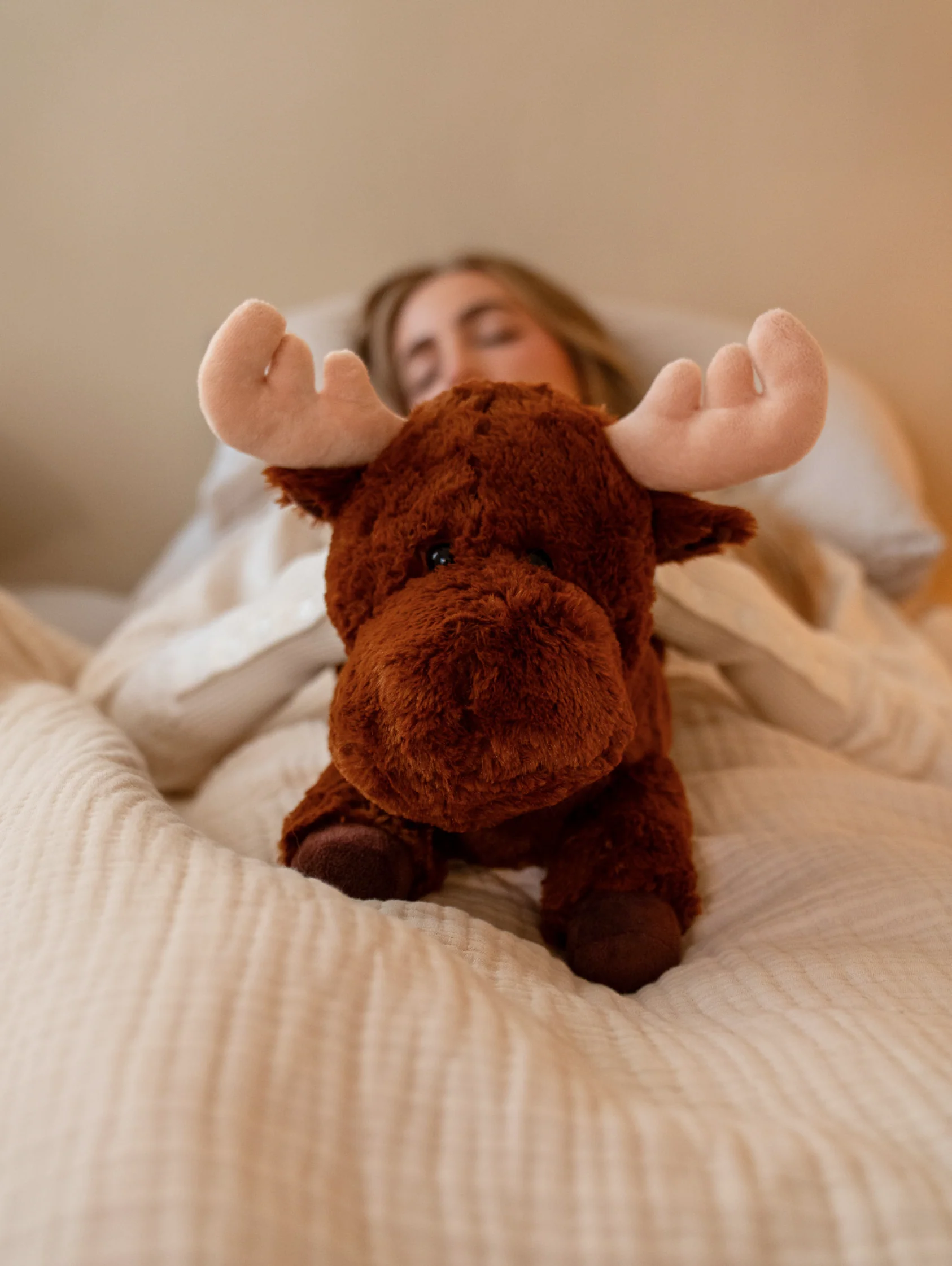 Maple the Moose - Image 4