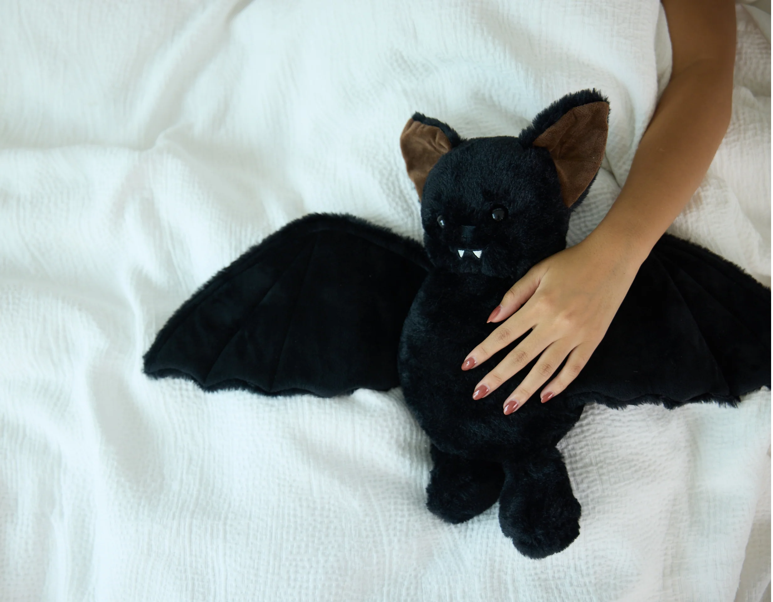 Midnight the Bat - Image 8