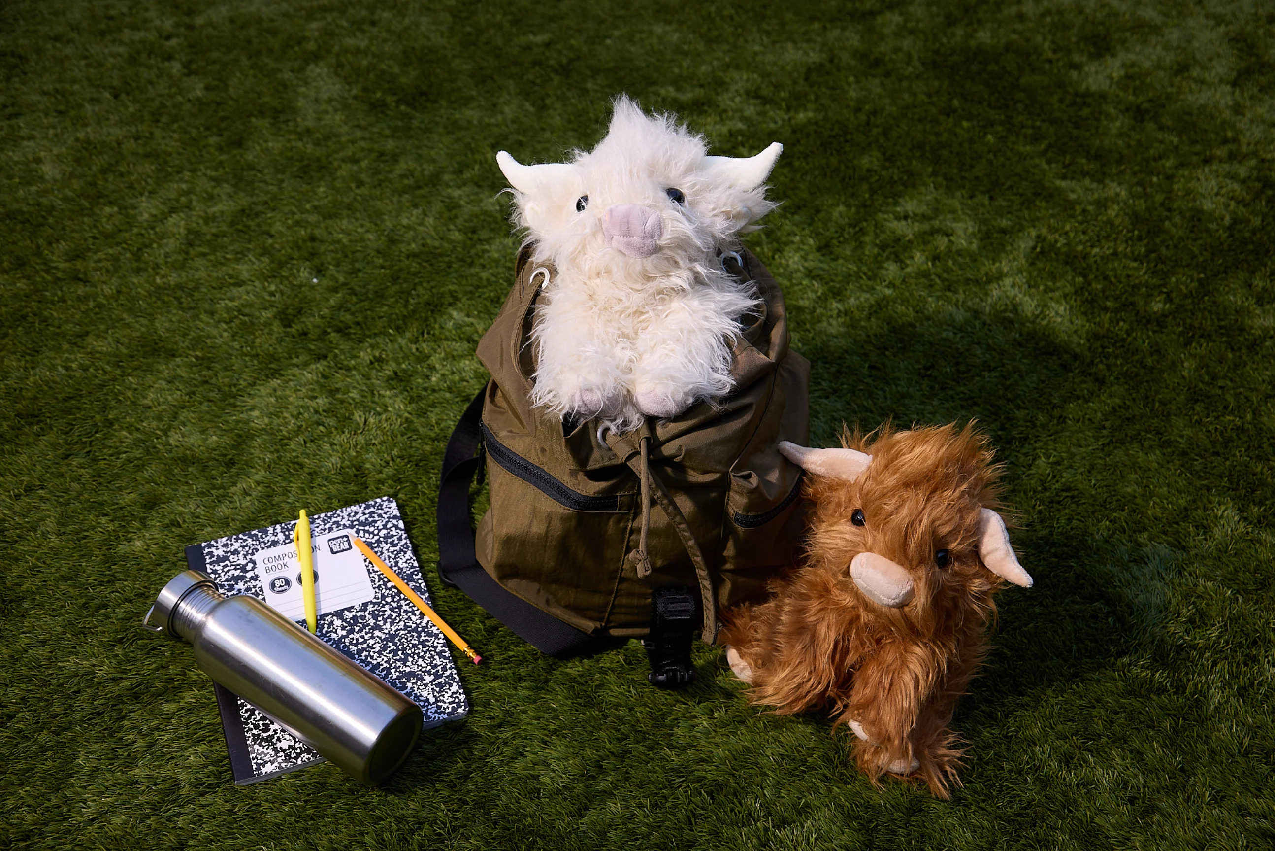 Mini Toffee the Highland Cow - Image 5