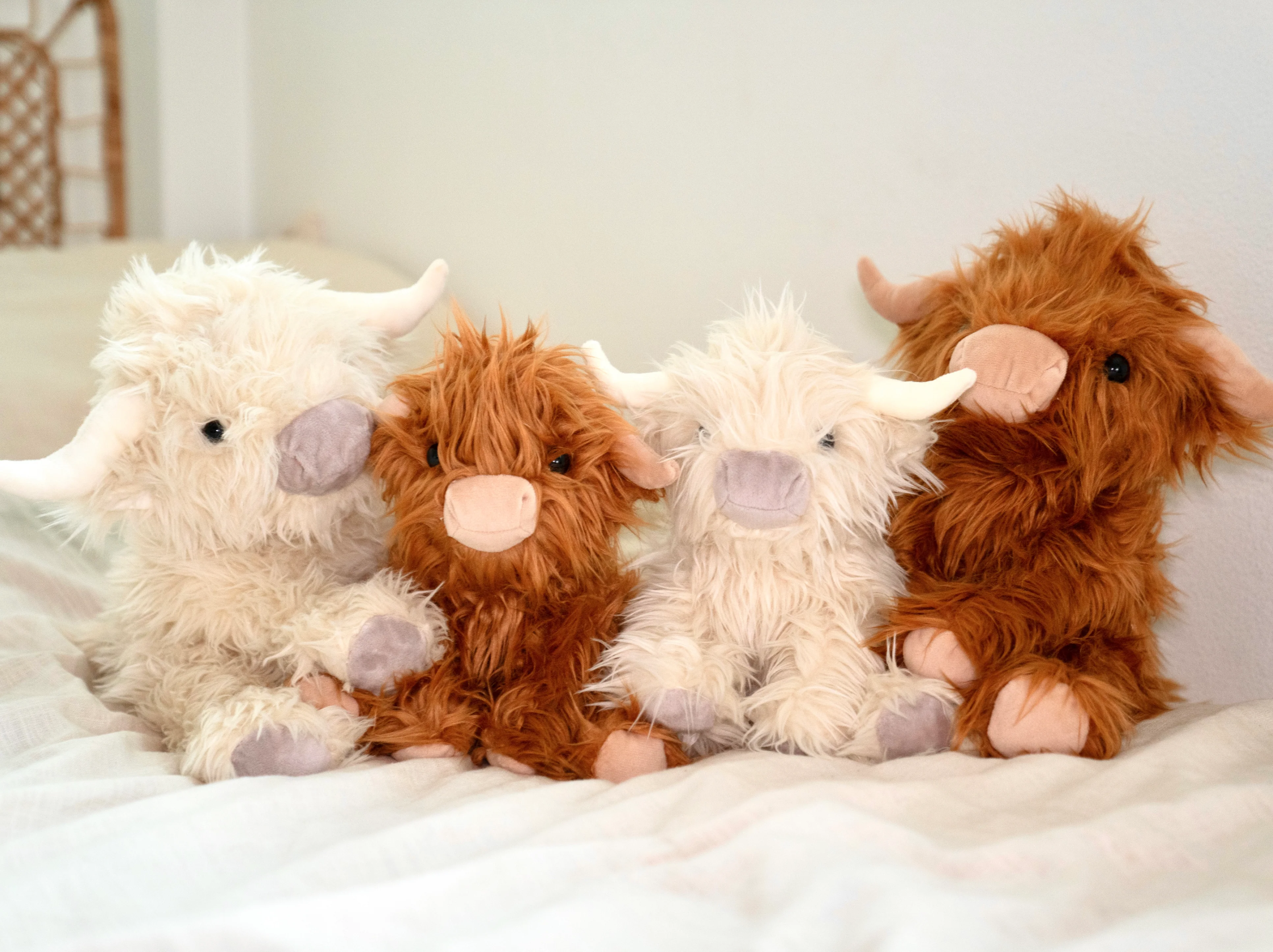 Mini Scottie the Highland Cow - Image 4