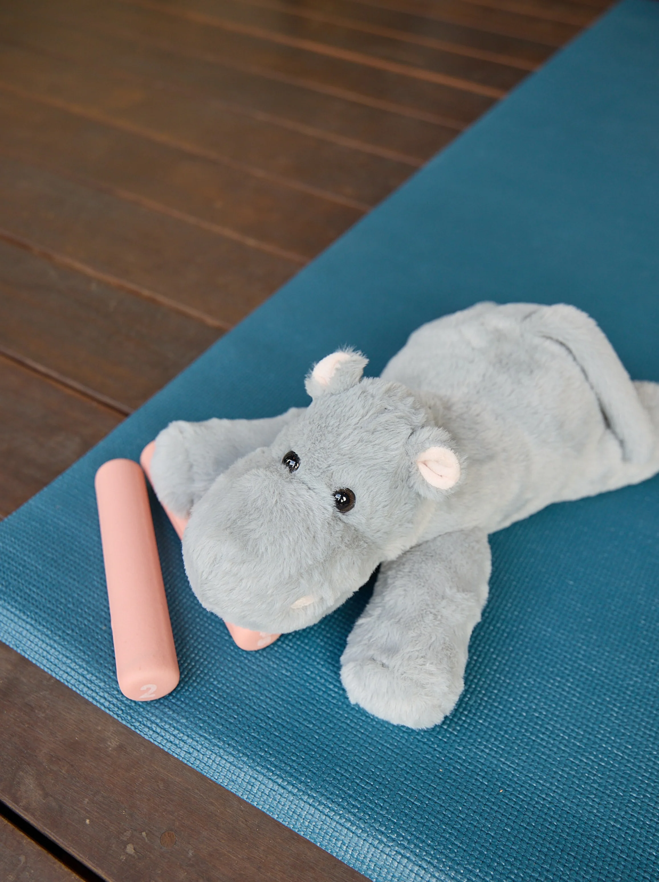 Mochi the Hippo - Image 8