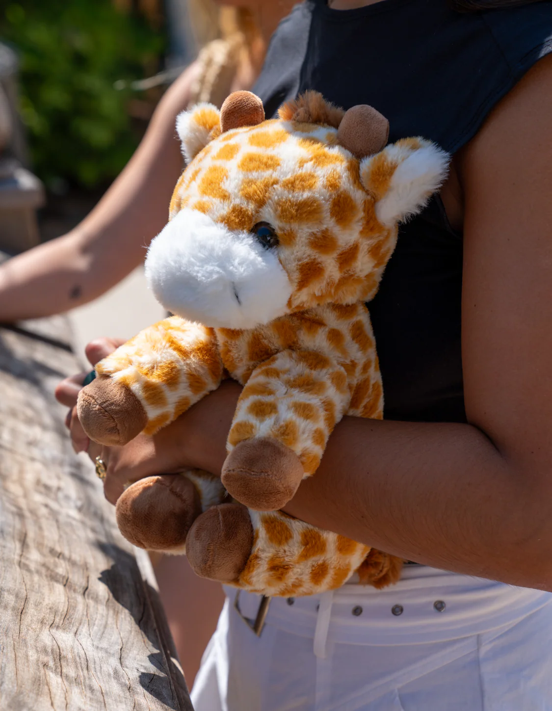 Moose the Giraffe - Image 6