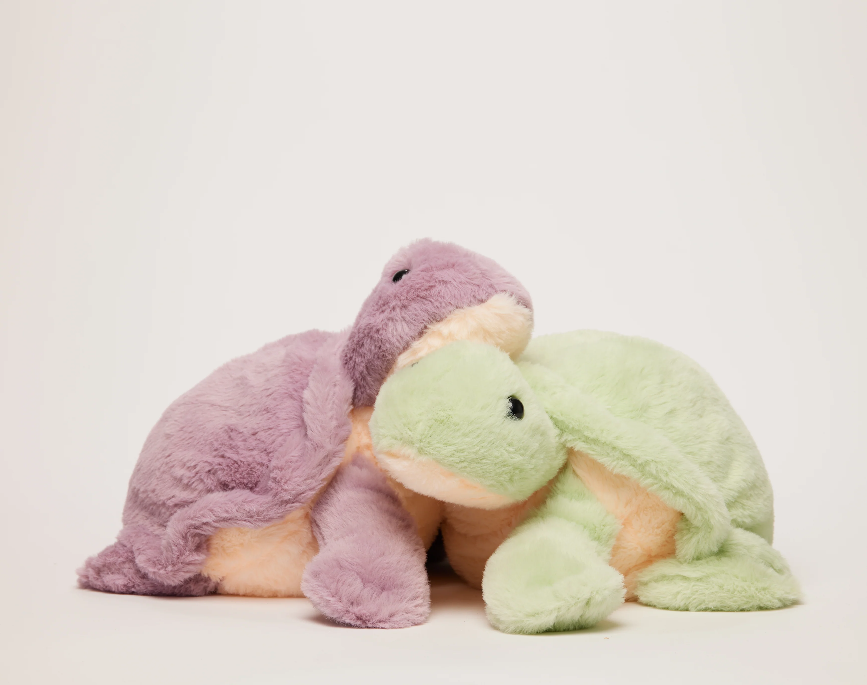 Olivia the Turtle - Image 7