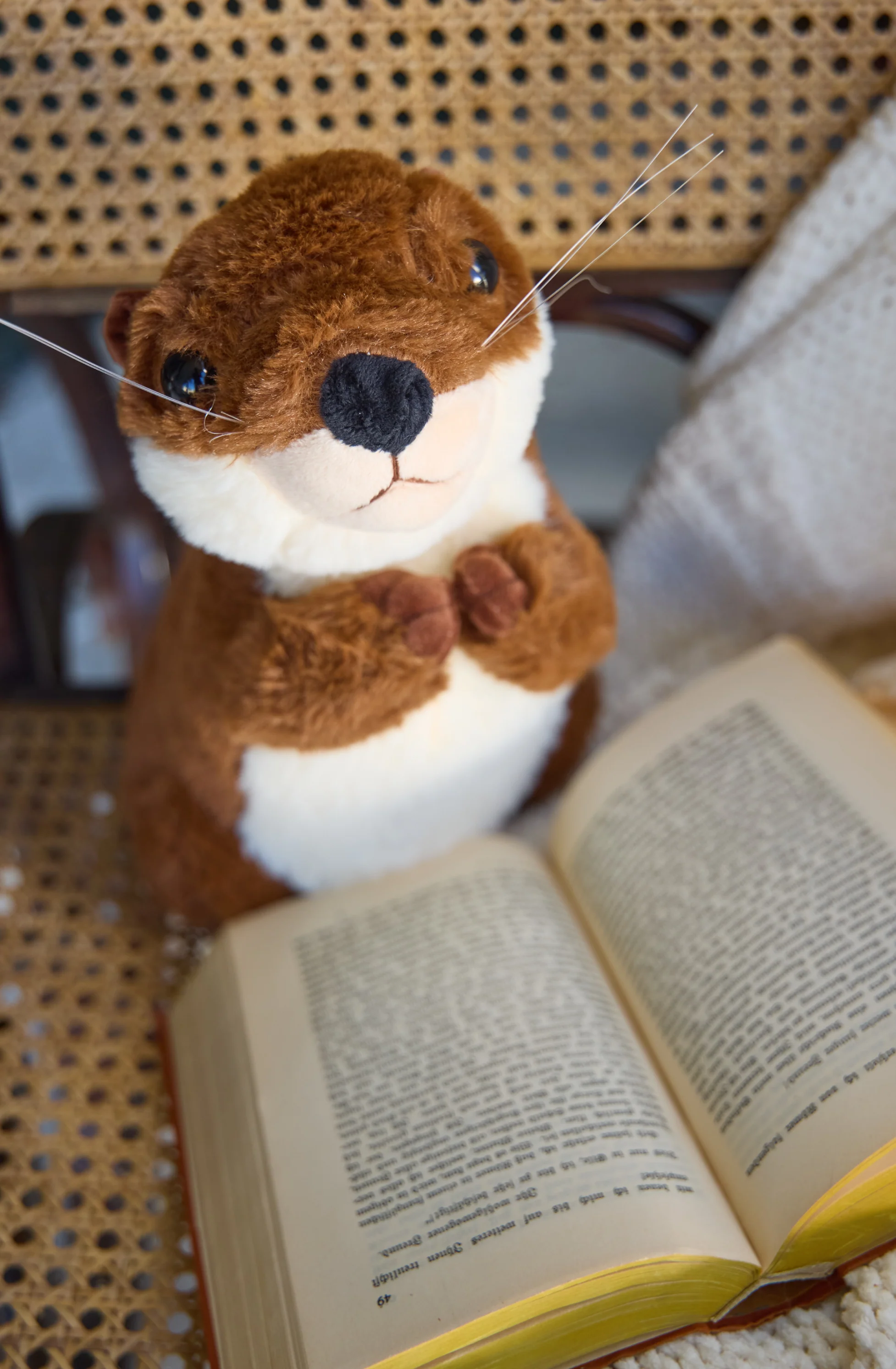 Otto the Otter - Image 5